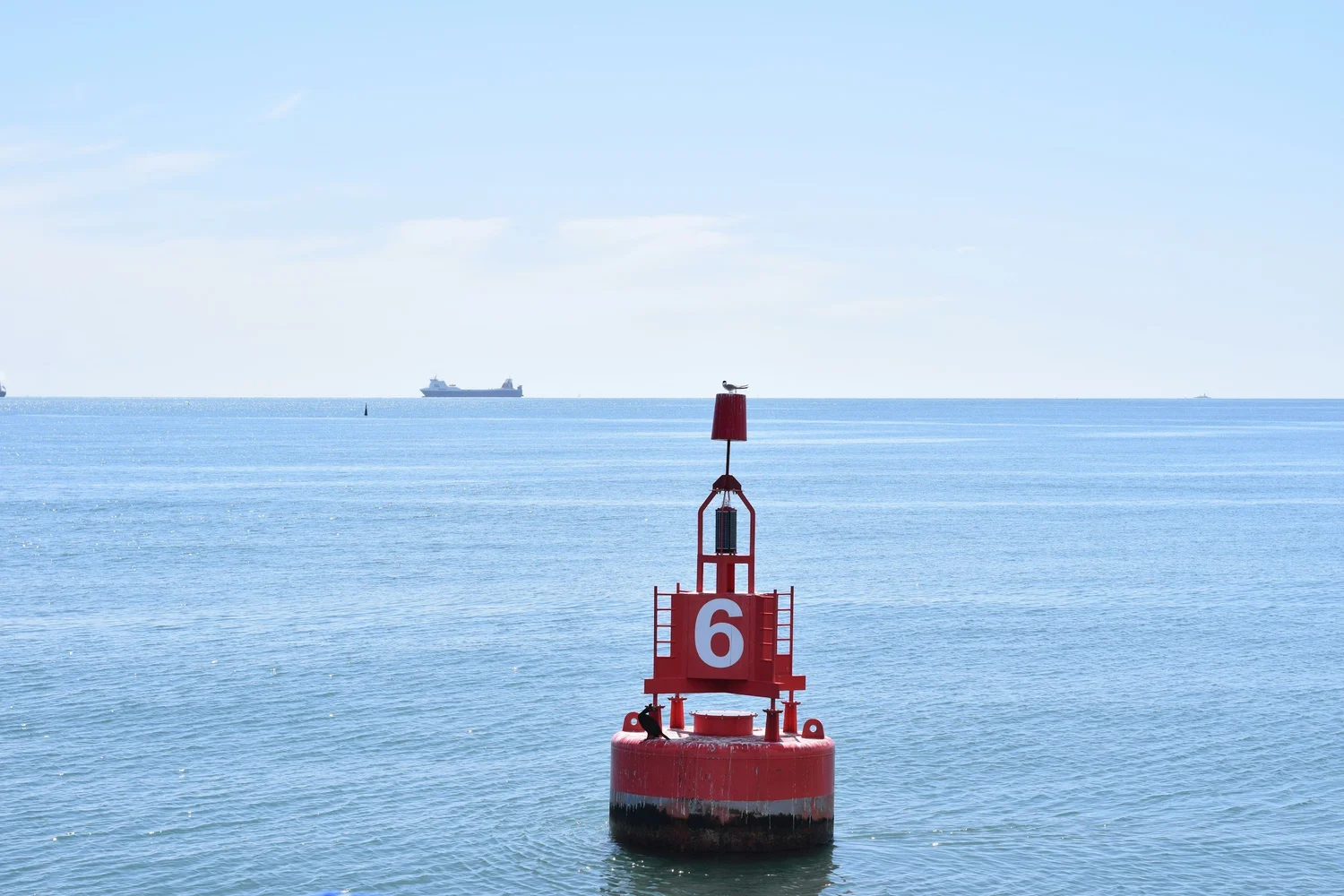 A red navigation buoy on open water with a cargo ship on the horizon.